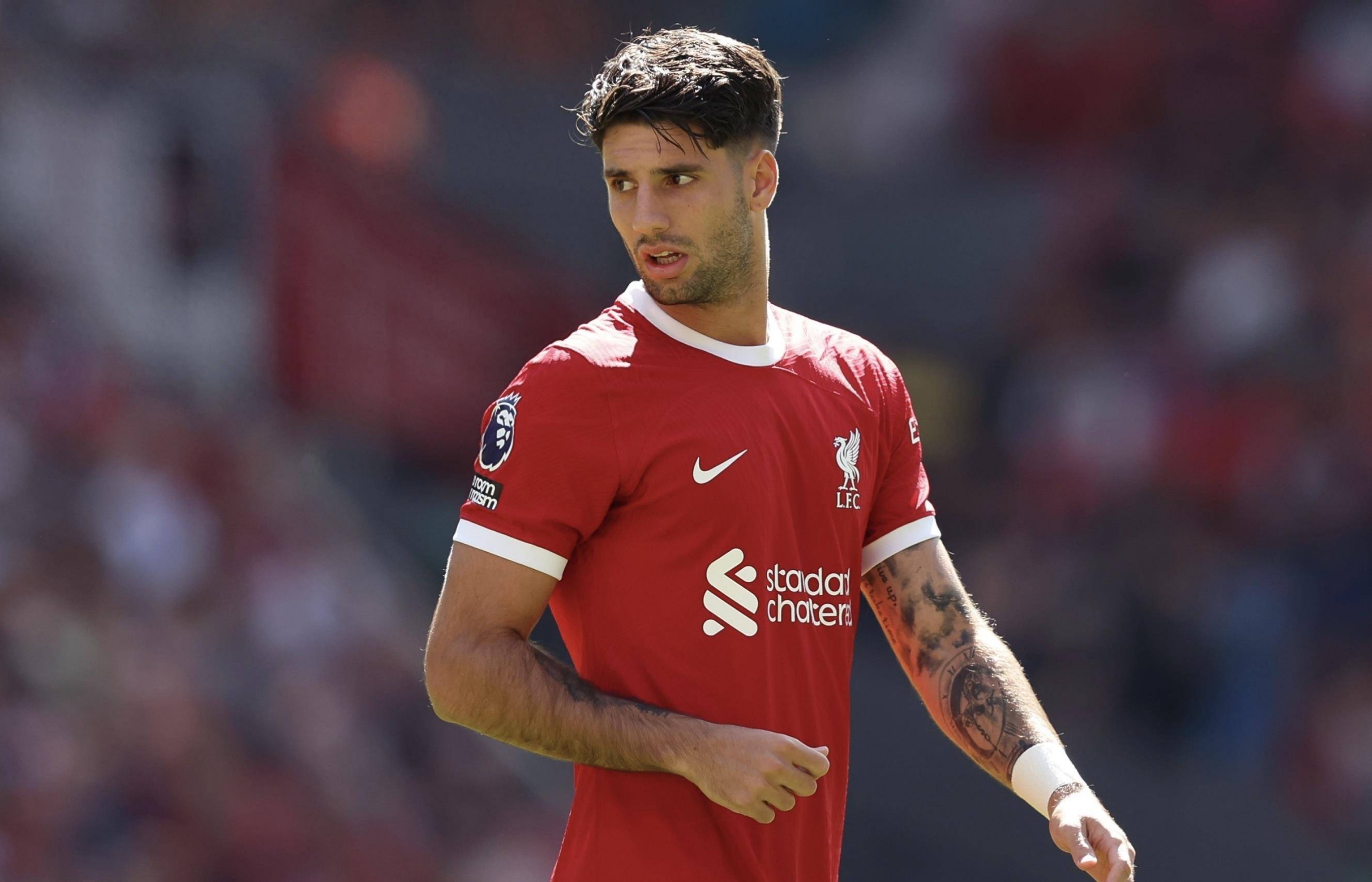 热刺全队齐发威，轻松击溃对手实力的简单介绍